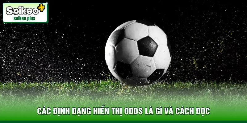 Các định dạng hiển thị Odds là gì và cách đọc
