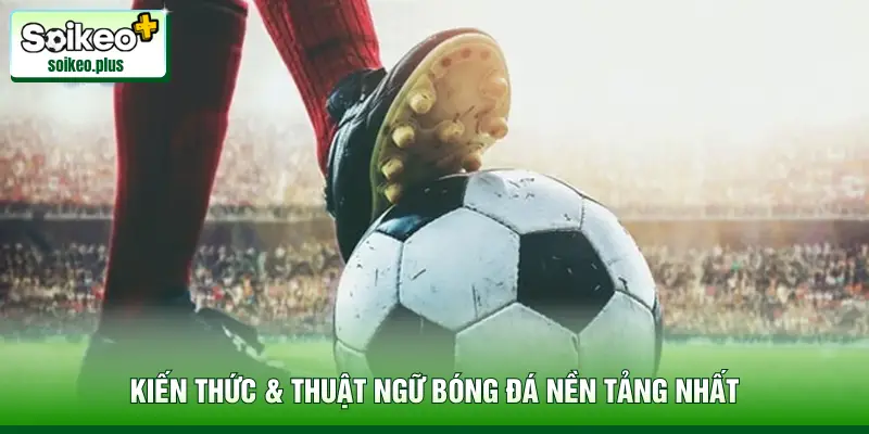 Kiến thức & thuật ngữ bóng đá nền tảng nhất